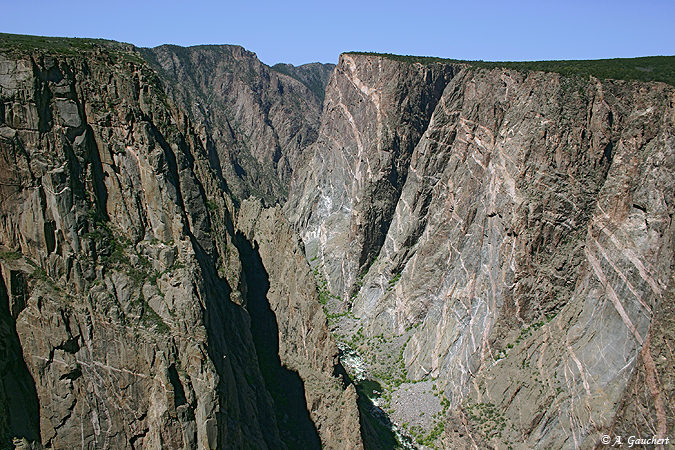 Gunnison Canyon